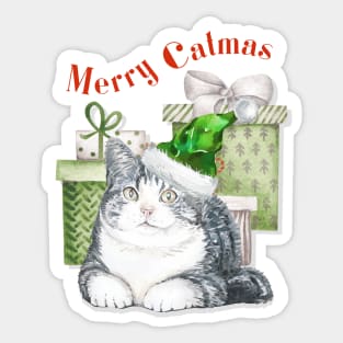 Merry Catmas Cute Cat In Green Santa Hat Sticker